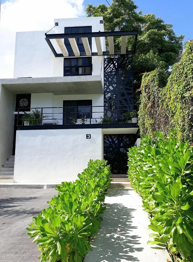 Room In Guest Room - Triple Room, Private Bathroom, A A, Wi-Fi 50 Mbps In The Center Of Cancún 0*,